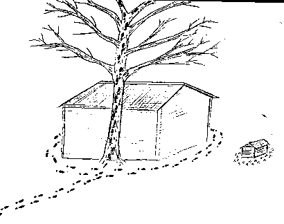house_tree_man_5